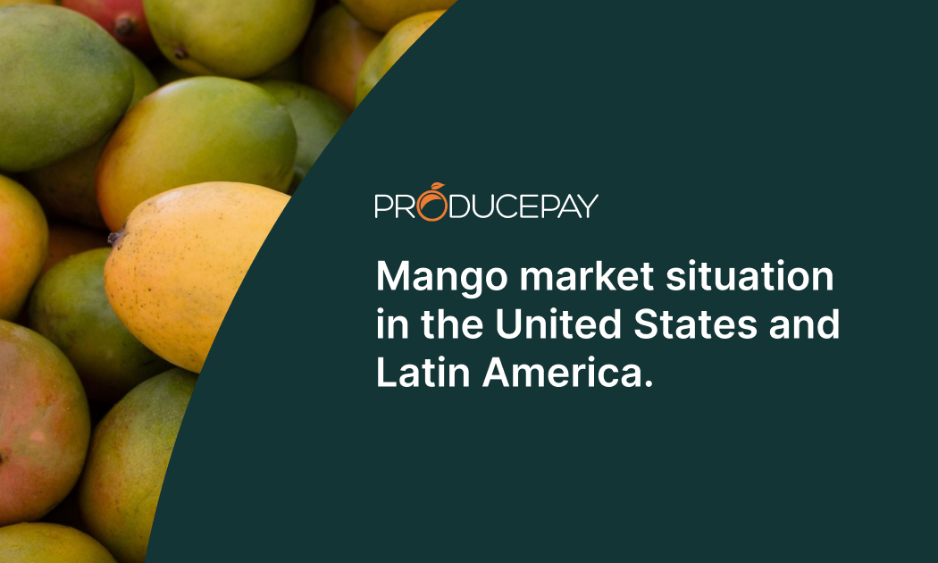 mango-market-situation