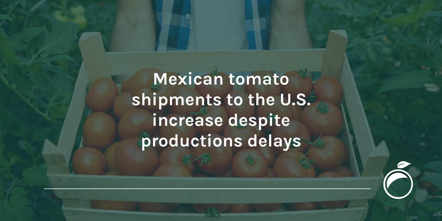 Mexican-tomato-shipments-to-the-U.S.-increase-despite-productions-delays_Header