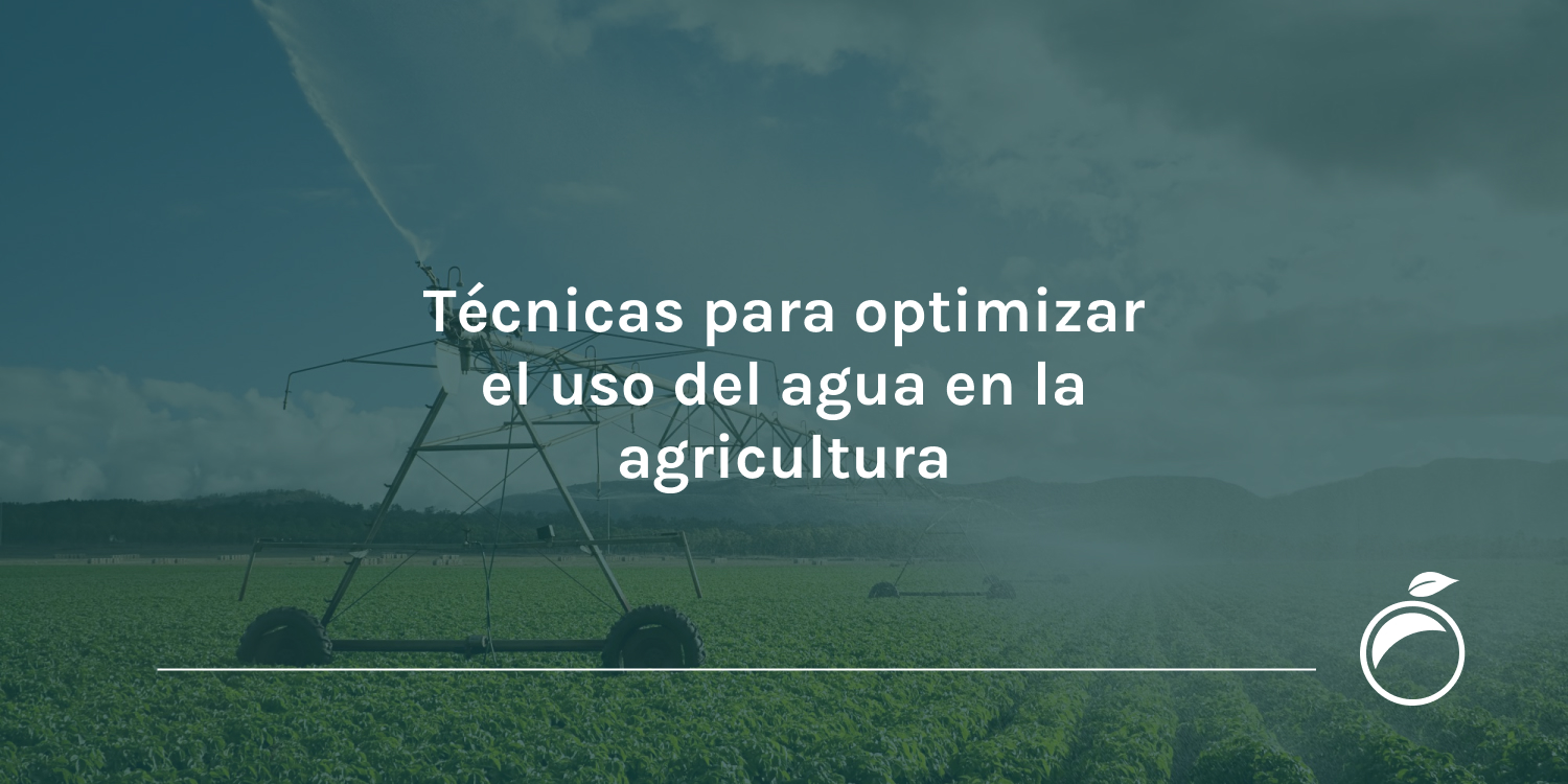 Técnicas para optimizar el uso del agua en la agricultura