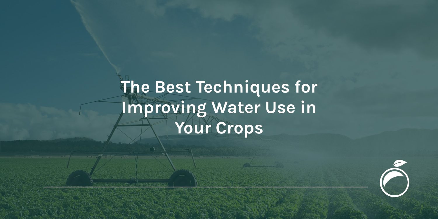 The Best Techniques for Improving Water Use in Your Crops