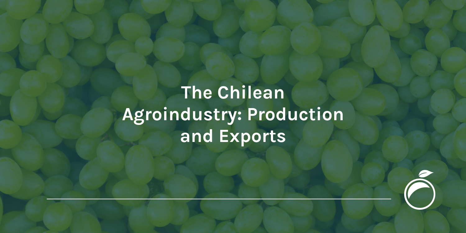 The Chilean Agroindustry Production and Exports