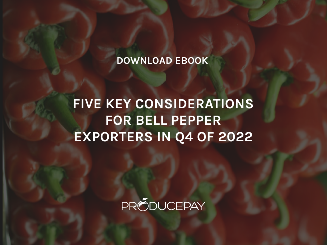 bell-pepper-th