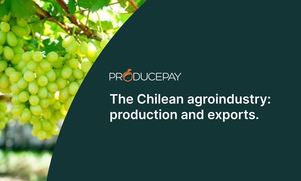 chilean-agroindustry