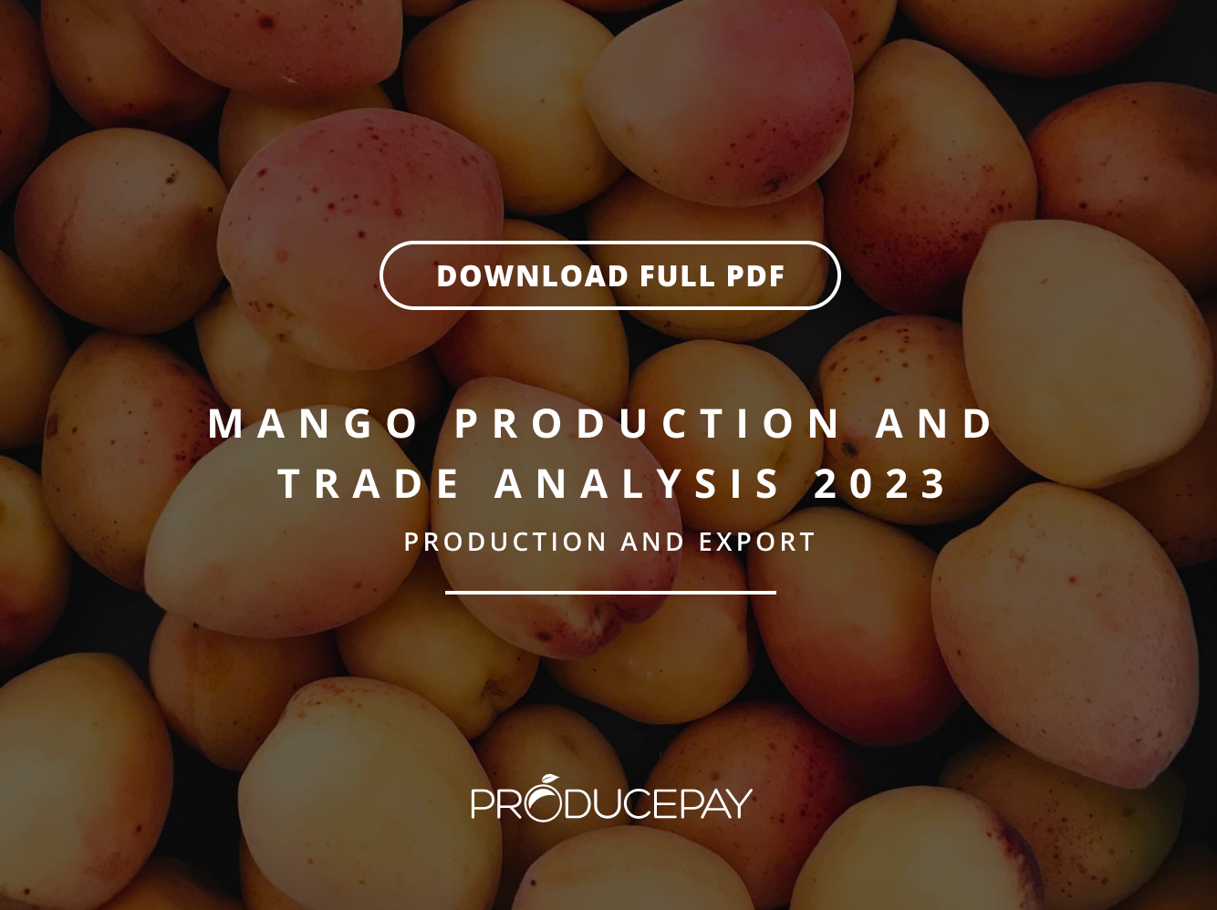 mango-wp-thumbnail