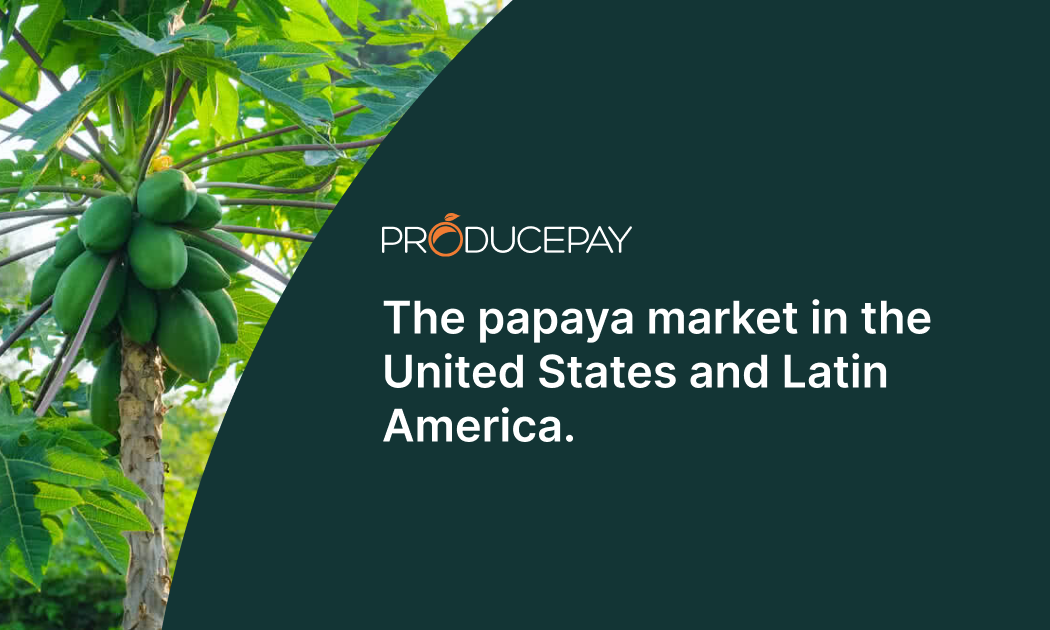 papaya-market