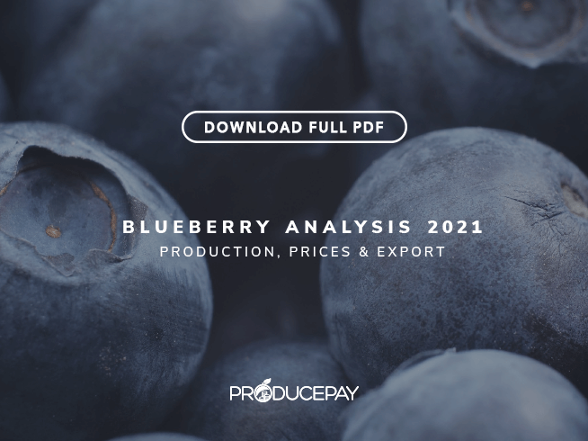 producepay-white-paper-analysis-2021-blueberry