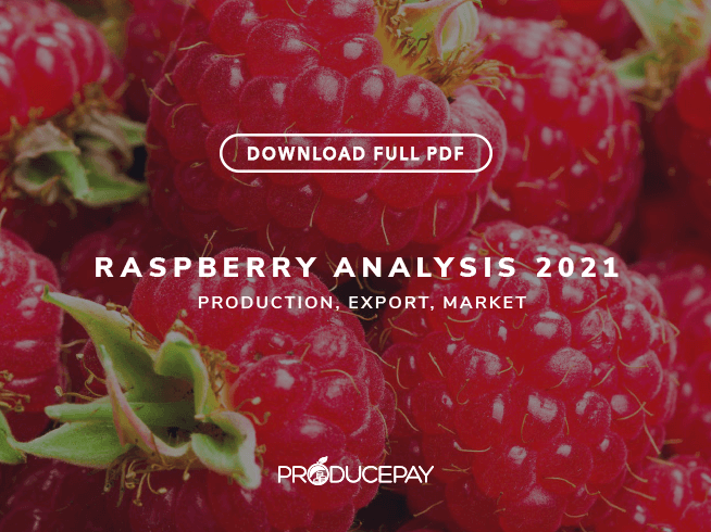 producepay-white-paper-analysis-2021-raspberry