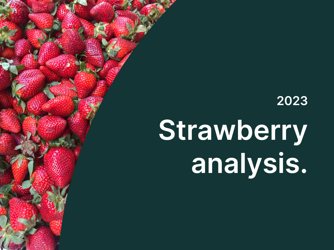strawberry-analysis