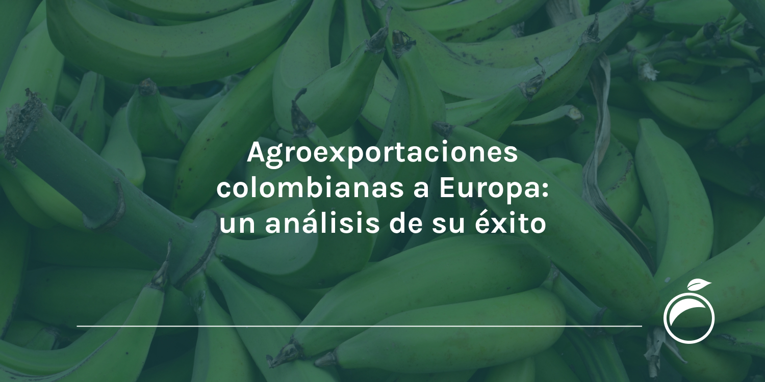 Agroexportaciones colombianas a Europa un análisis de su éxito