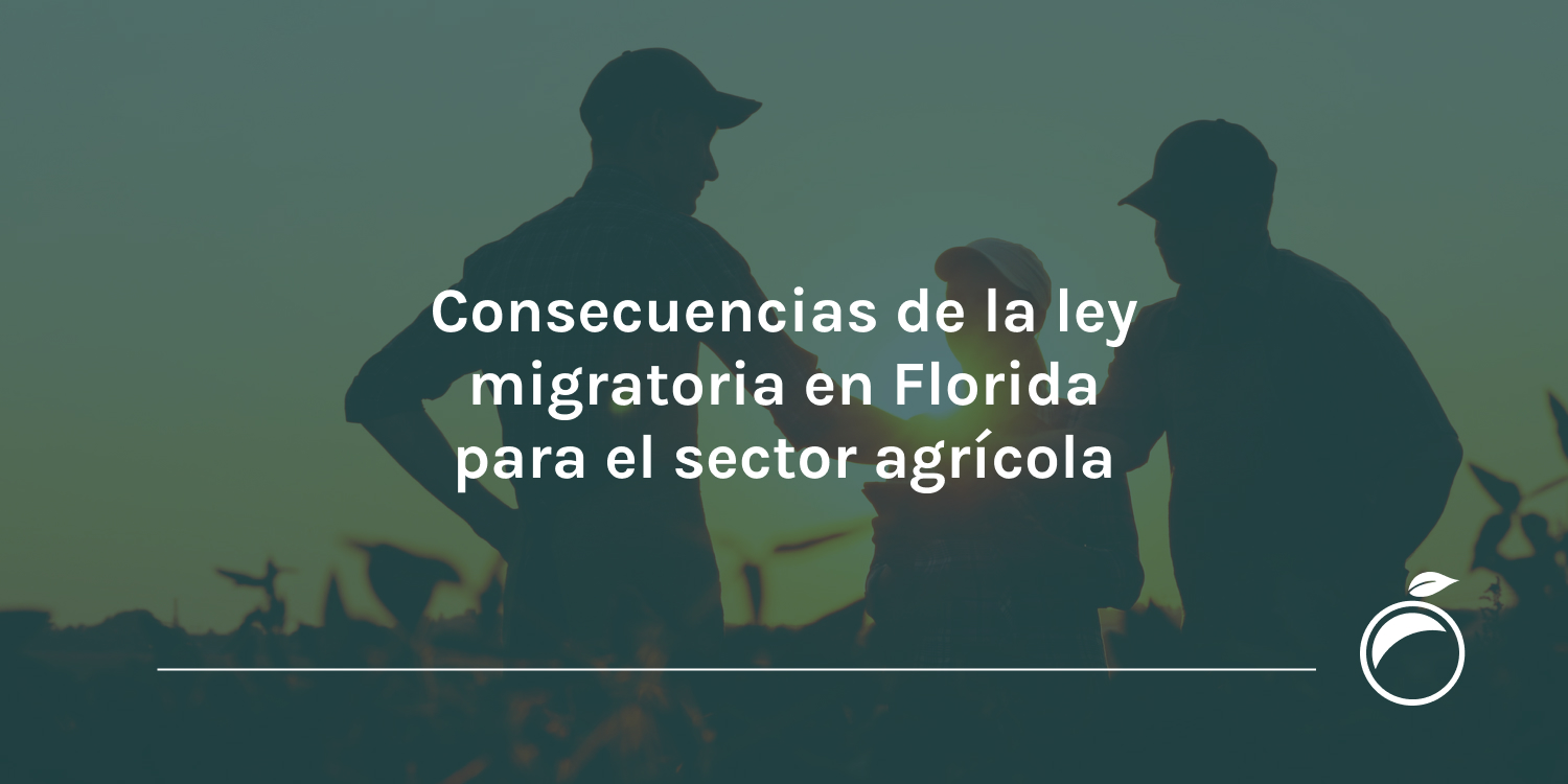 Consecuencias de la ley migratoria en Florida para el sector agrícola