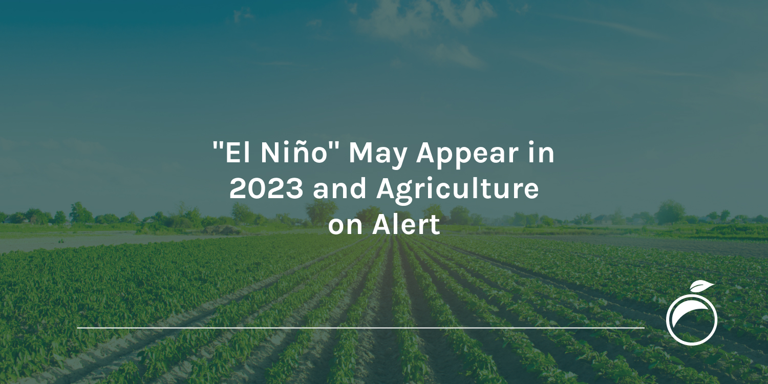 El-Nino-May-Appear-in-2023-and-Agriculture-on-Alert-Header