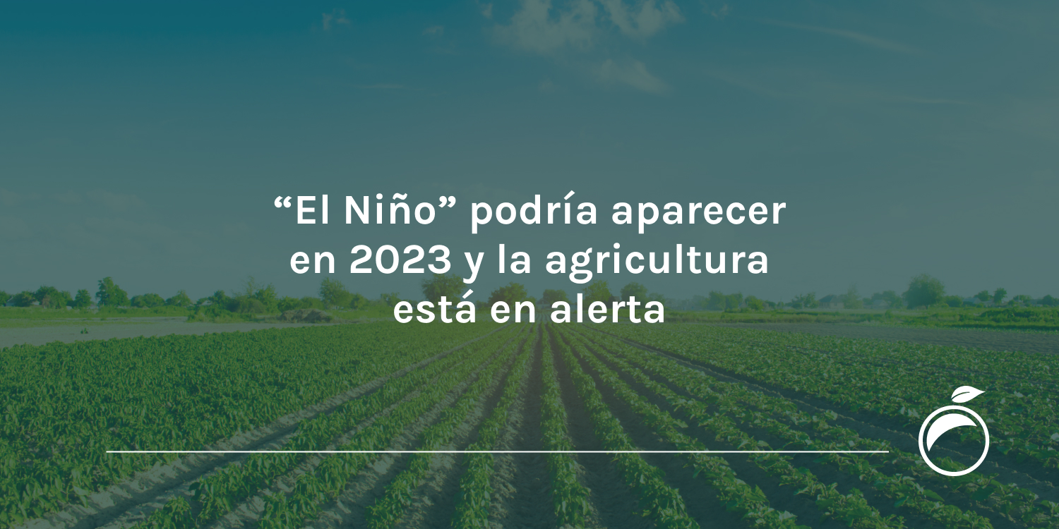El Niño podría aparecer en 2023 y la agricultura está en alerta