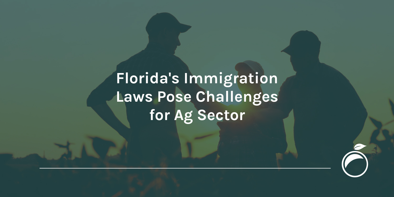Floridas-Immigration-Laws-Pose-Challenges-for-Ag-Sector-Header