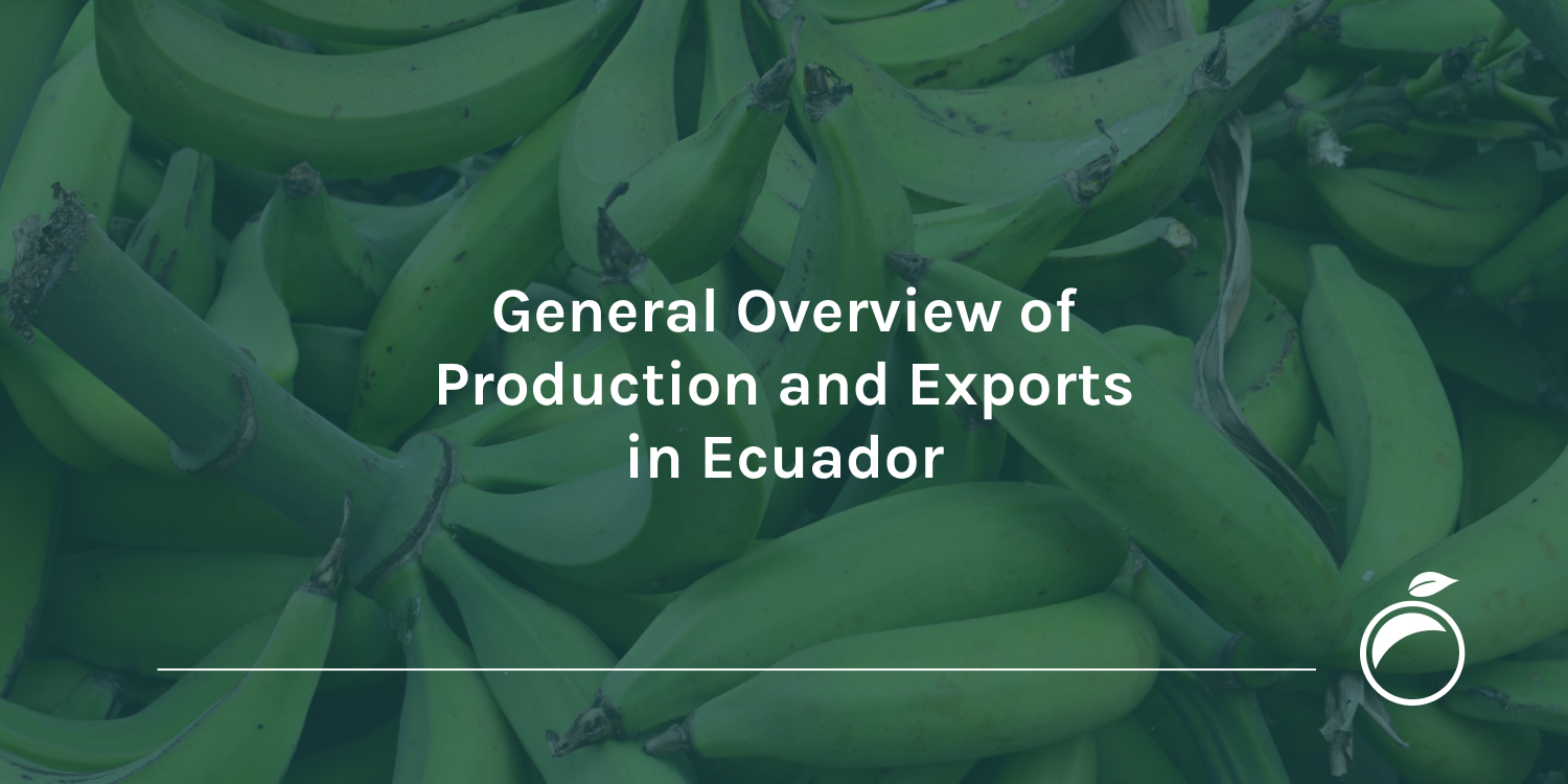 General Overview of Production and Exports in Ecuador