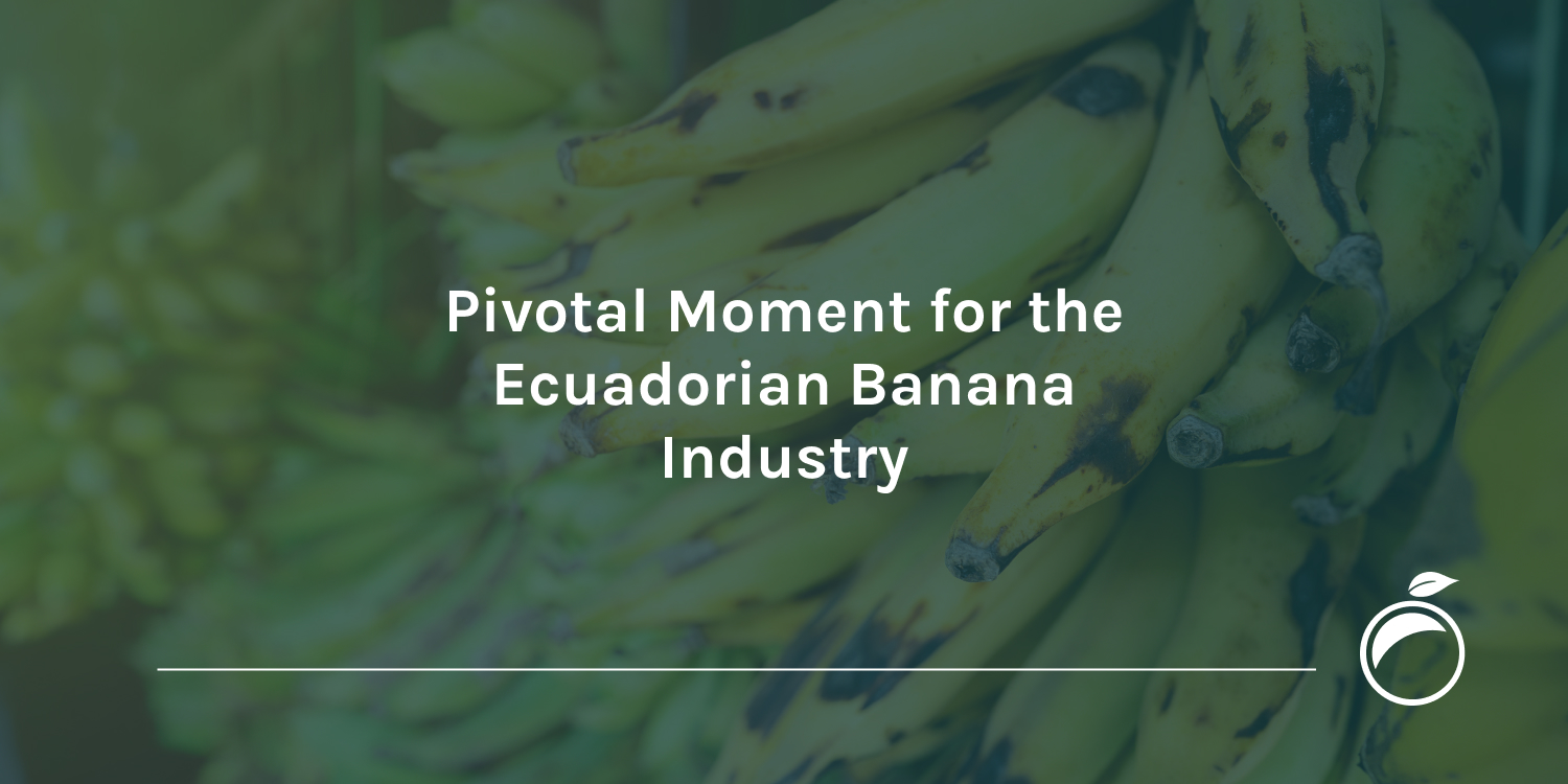 Pivotal-Moment-for-the-Ecuadorian-Banana-Industry-Header