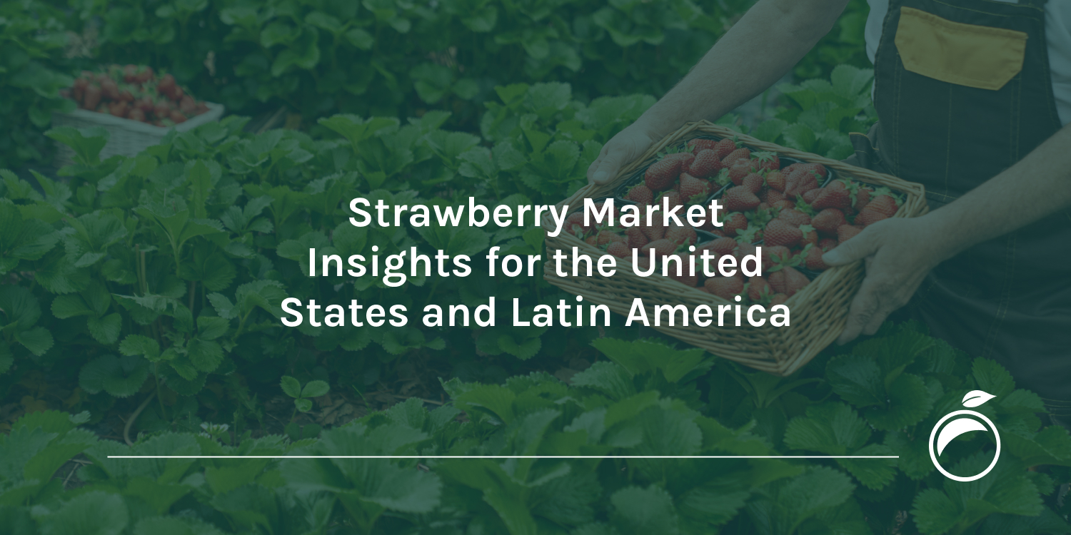 Strawberry Market Insights for the United States and Latin America