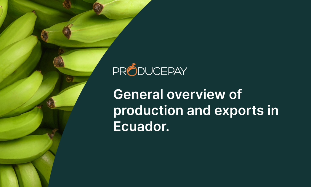 exports-in-ecuador