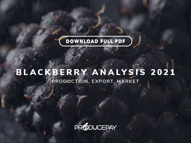 producepay-white-paper-blackberry-analysis-2021