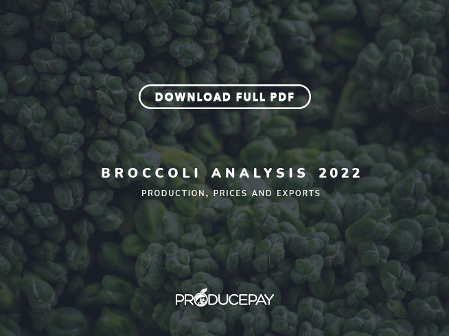 producepay-white-paper-broccoli-analysis-2022
