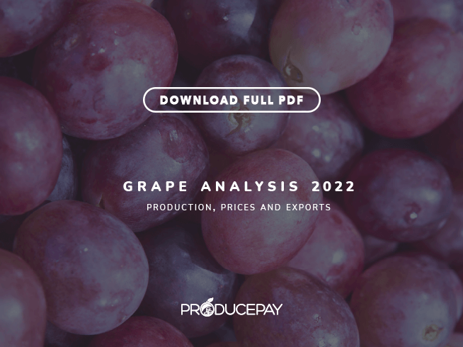producepay-white-paper-grape-analysis-2022