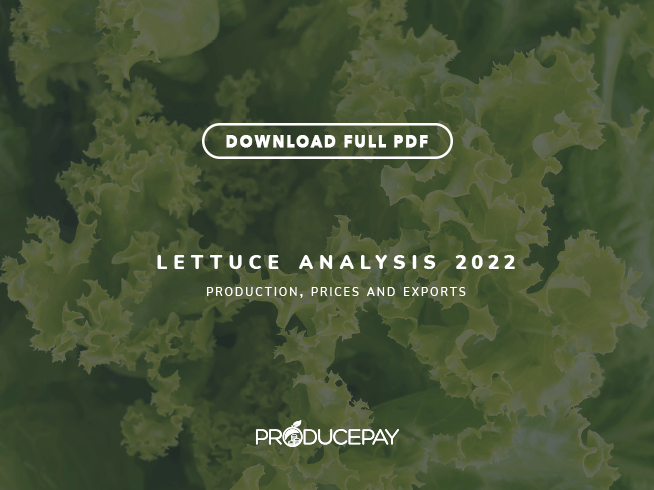 producepay-white-paper-lettuce-analysis-2022