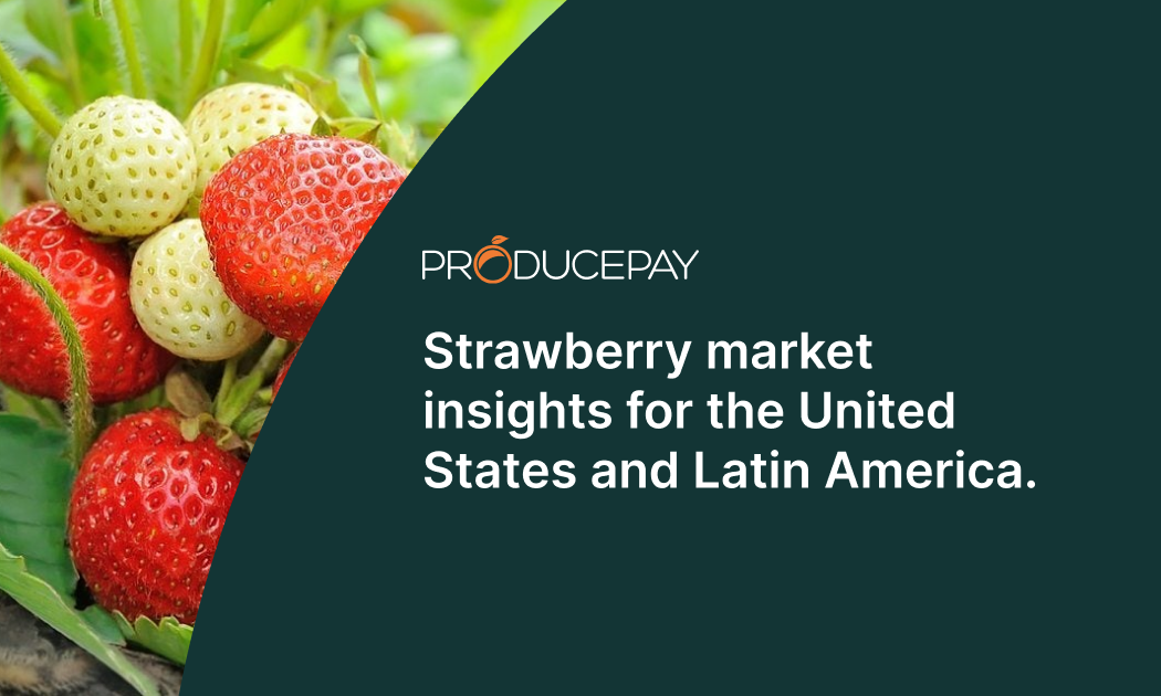 strawberry-market-insights