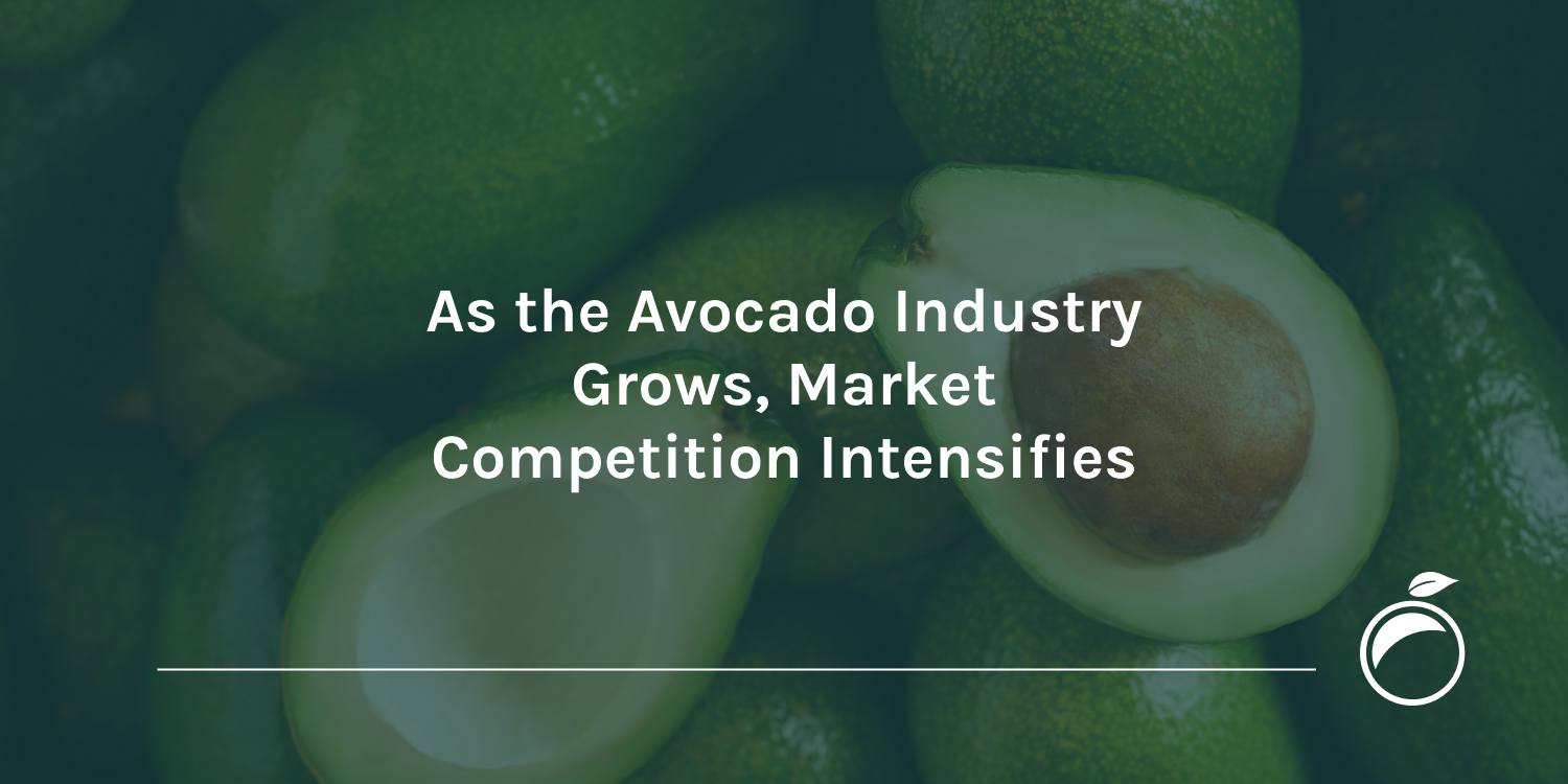 As the Avocado Industry Grows, Market Competition Intensifies
