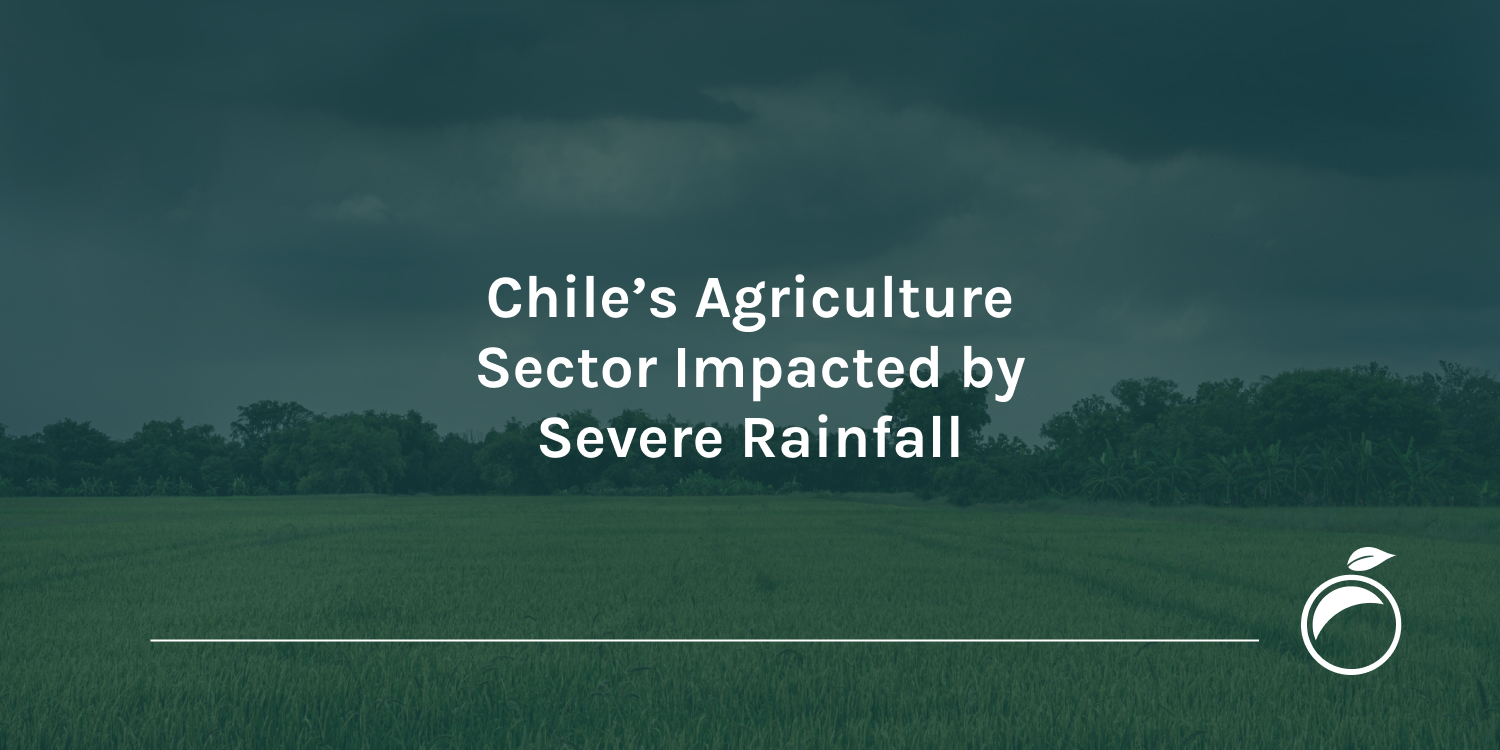 Chile’s Agriculture Sector Impacted by Severe Rainfall