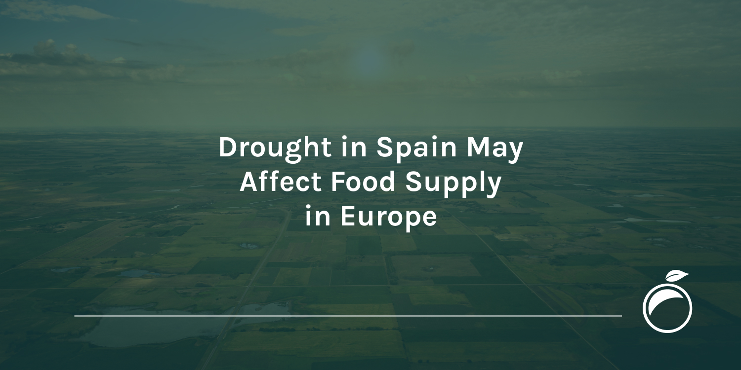 Drought in Spain May Affect Food Supply in Europe