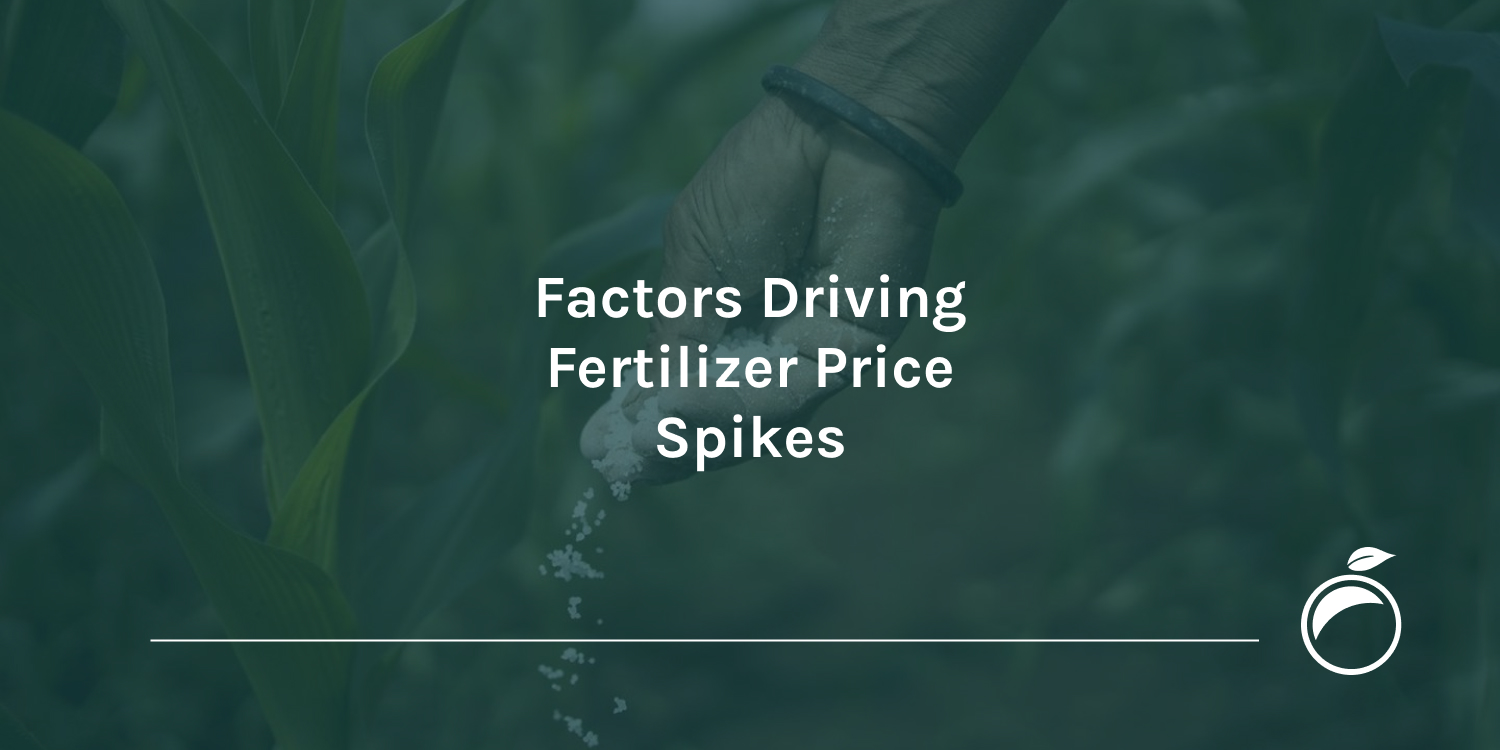 Factors Driving Fertilizer Price Spikes