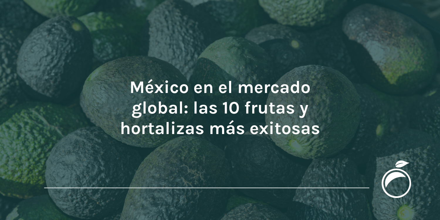 México en el mercado global las 10 frutas y hortalizas más exitosas