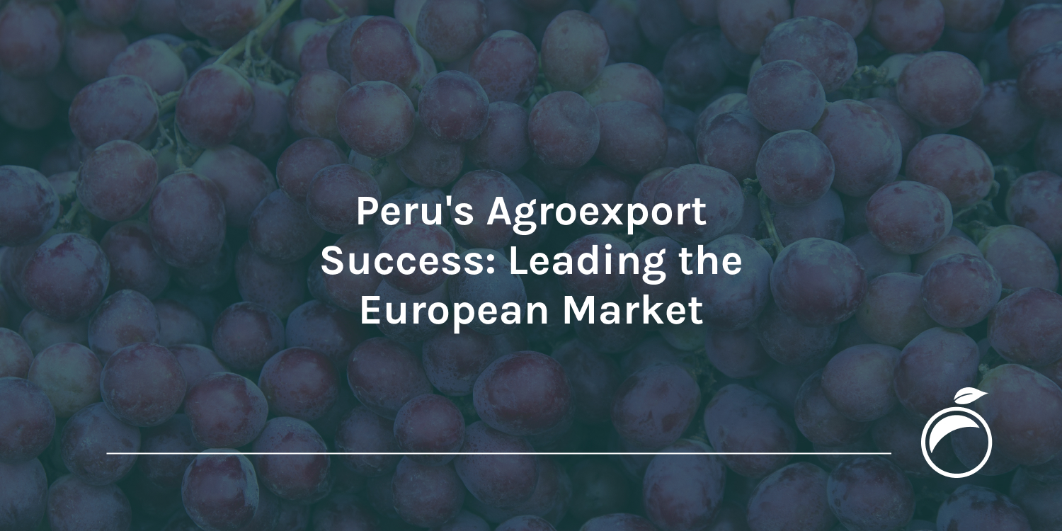 Peru’s Agroexport Success: Leading the European Market