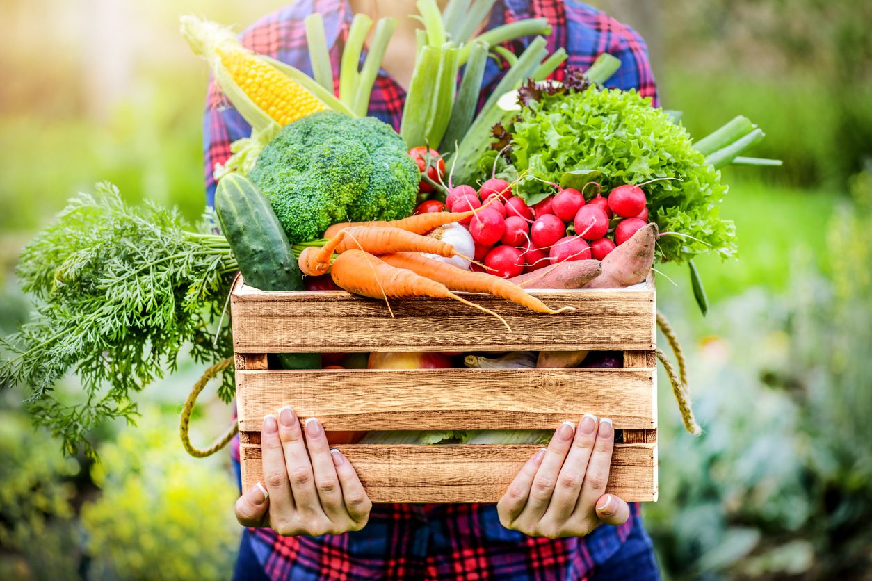 Farmer-woman-holding-wooden-box-full-of-fresh-raw-vegetables.-1222581489_1258x838