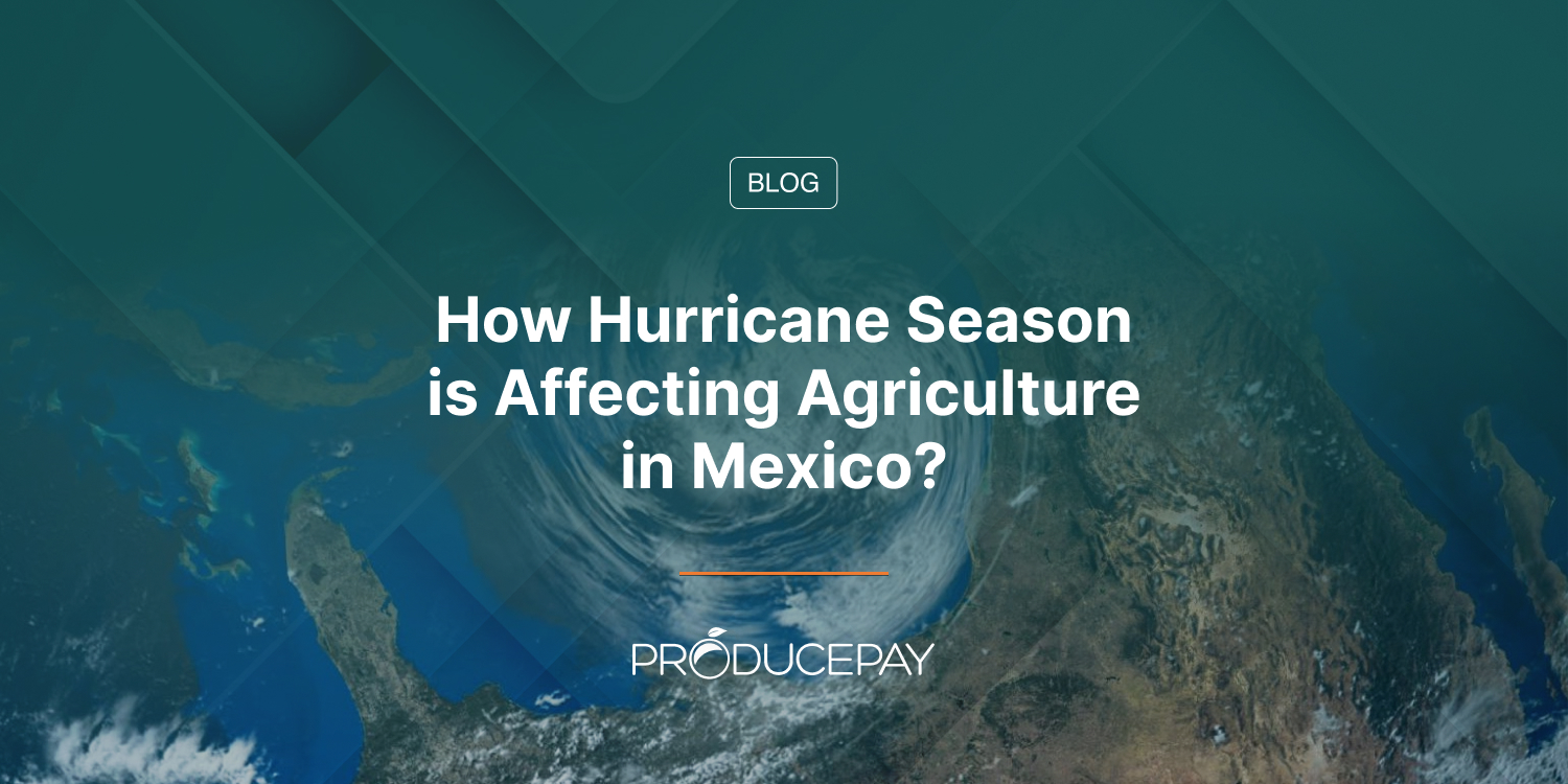 How Hurricane Season is Affecting Agriculture in Mexico?