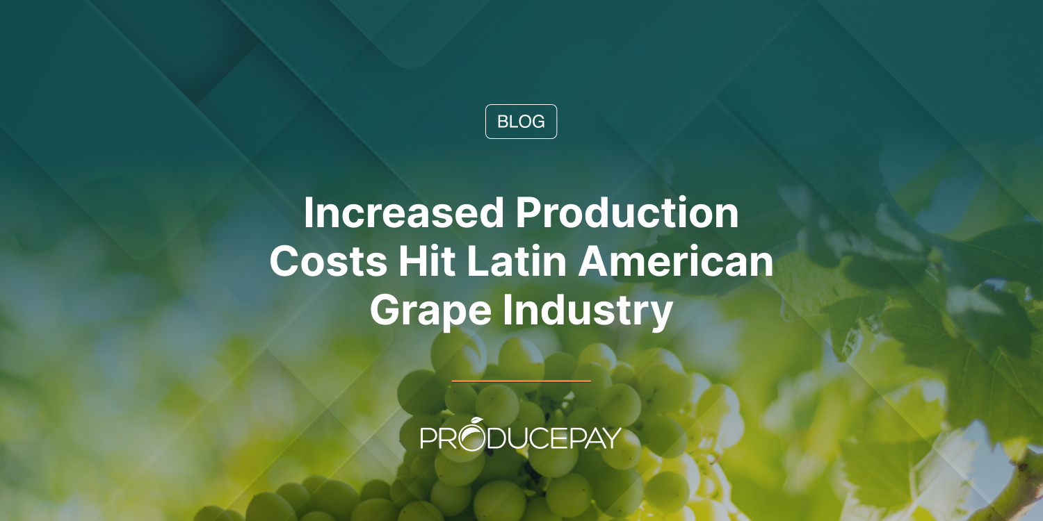 Increased Production Costs Hit Latin American Grape Industry