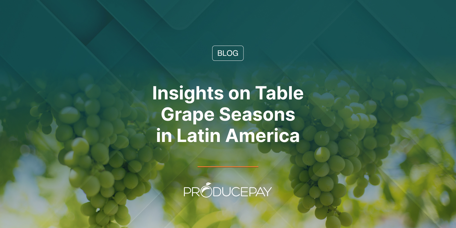 Insights on Table Grape Seasons in Latin America