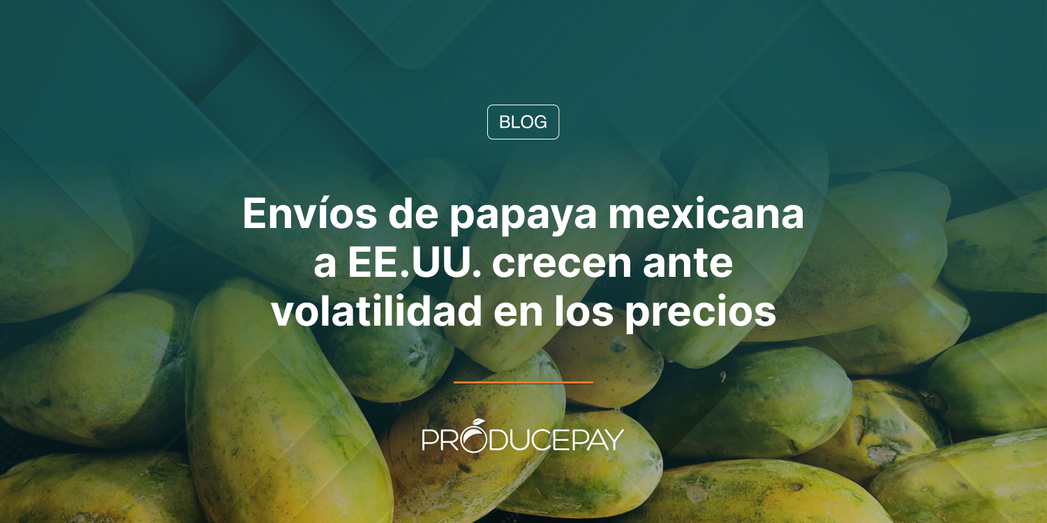 Envíos de papaya mexicana a EE.UU. crecen ante volatilidad en los precios