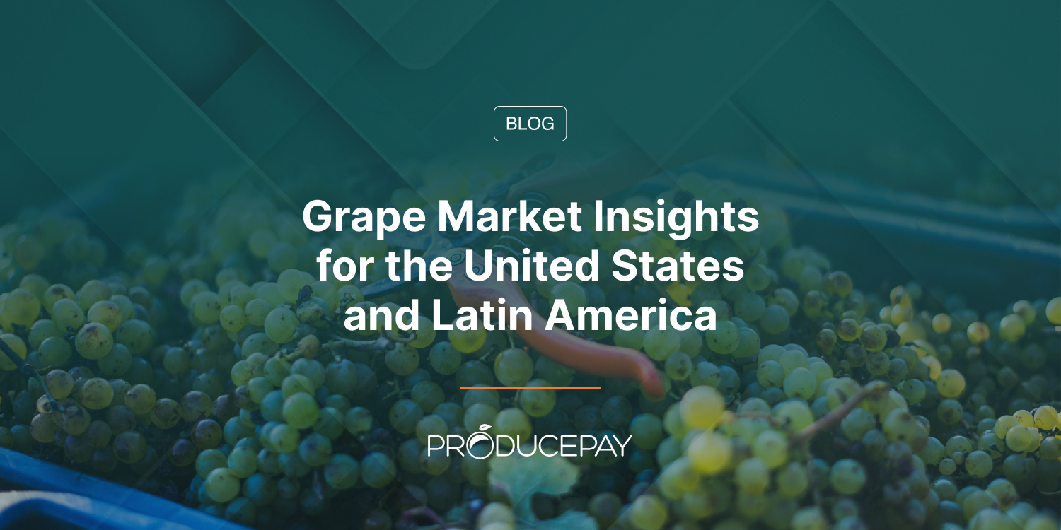 Grape Market Insights for the United States and Latin America