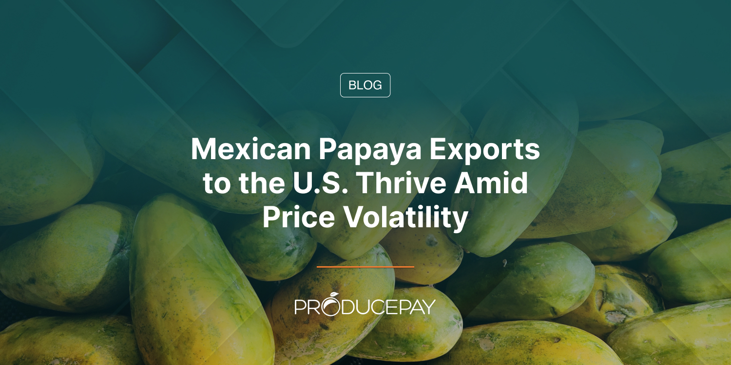 Mexican Papaya Exports to the U.S. Thrive Amid Price Volatility