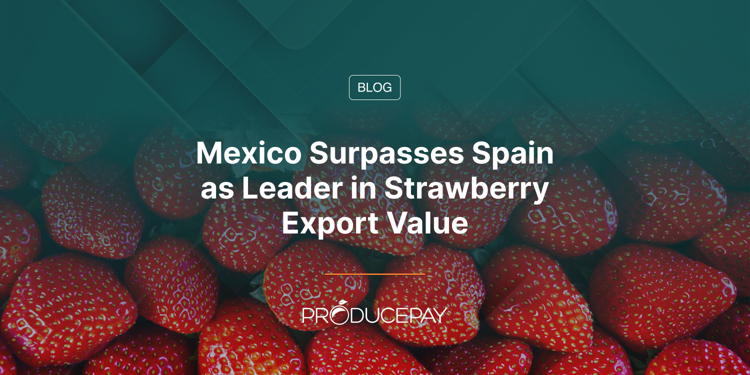 Mexico Surpasses Spain as Leader in Strawberry Export Value