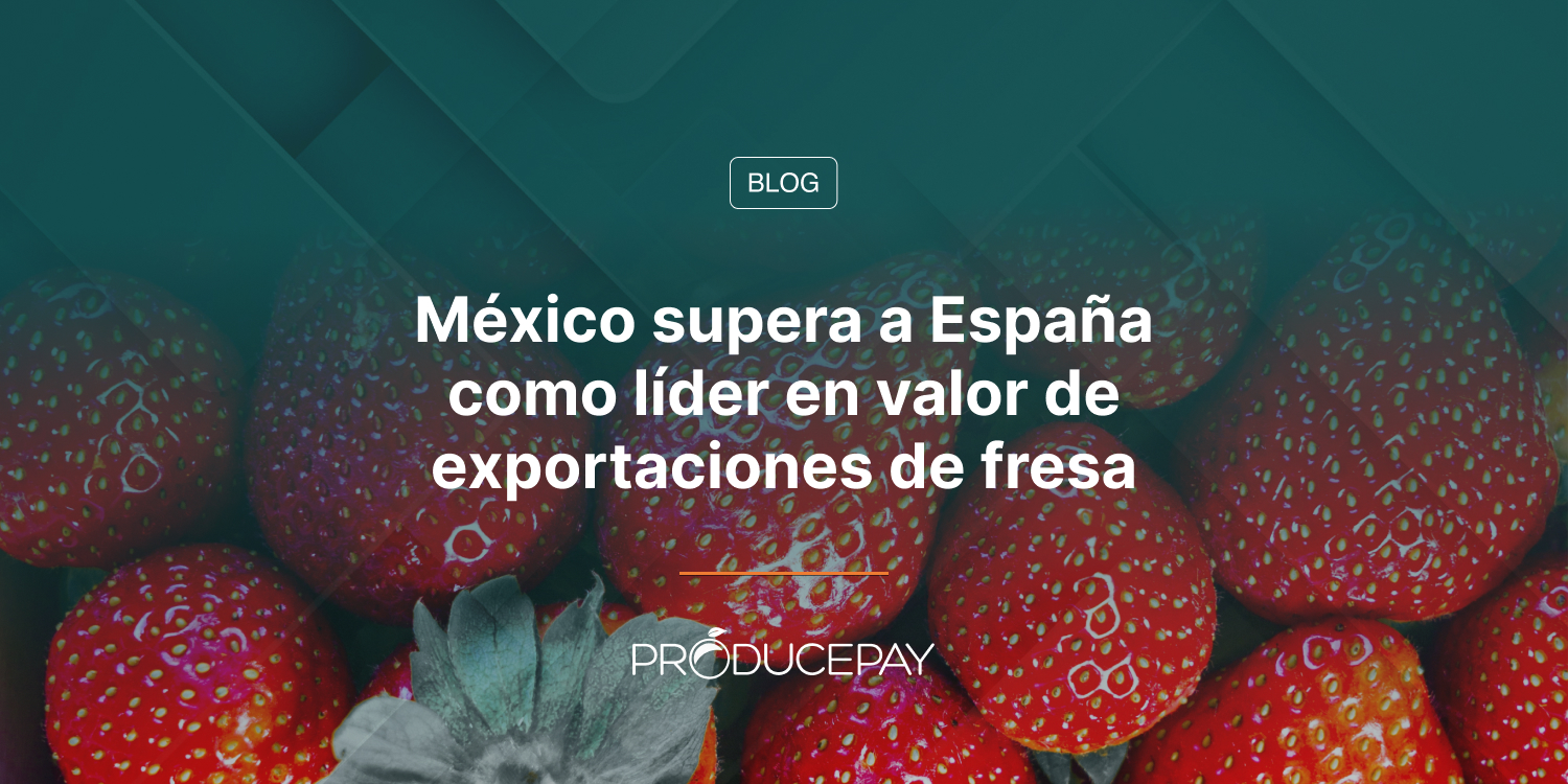 México supera a España como líder en valor de exportaciones de fresa