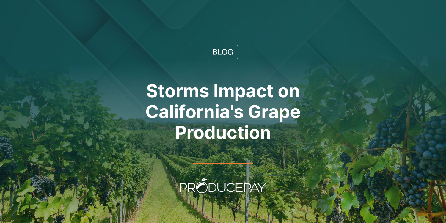 Storms Impact on California’s Grape Production