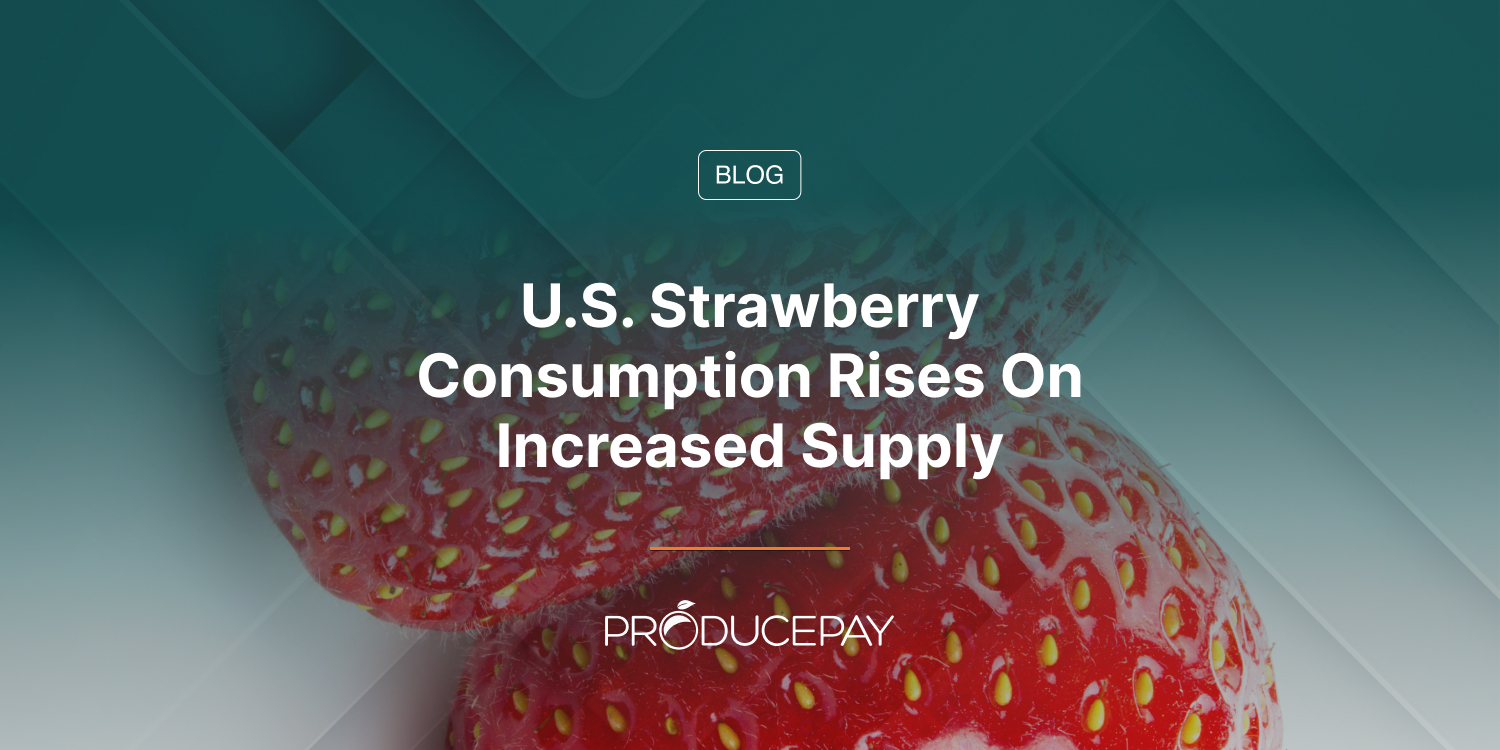 U.S. Strawberry Consumption Rises On Increased Supply