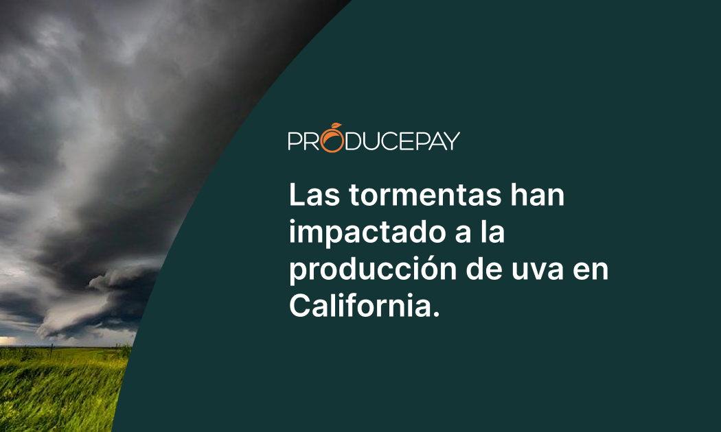 produccion de uva en california
