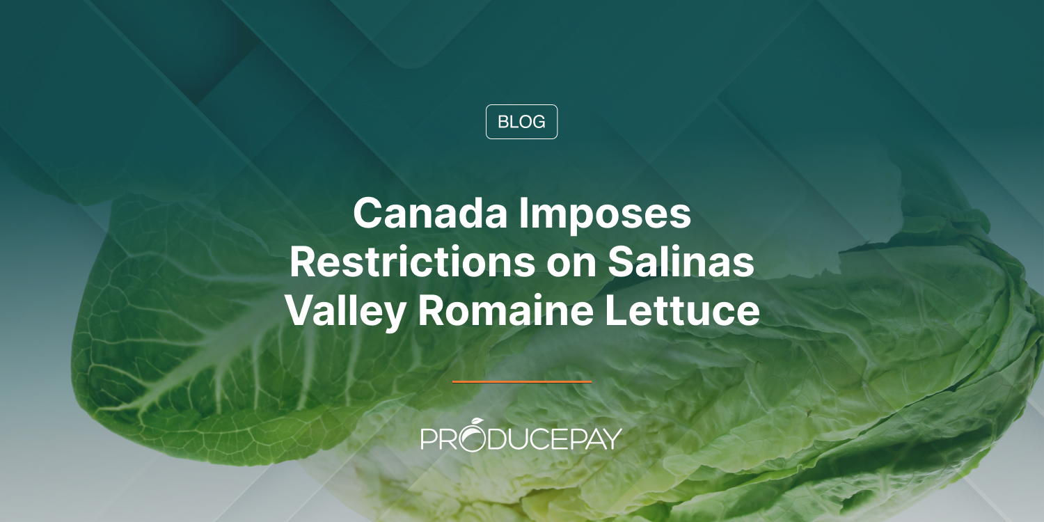 Canada Imposes Restrictions on Salinas Valley Romaine Lettuce