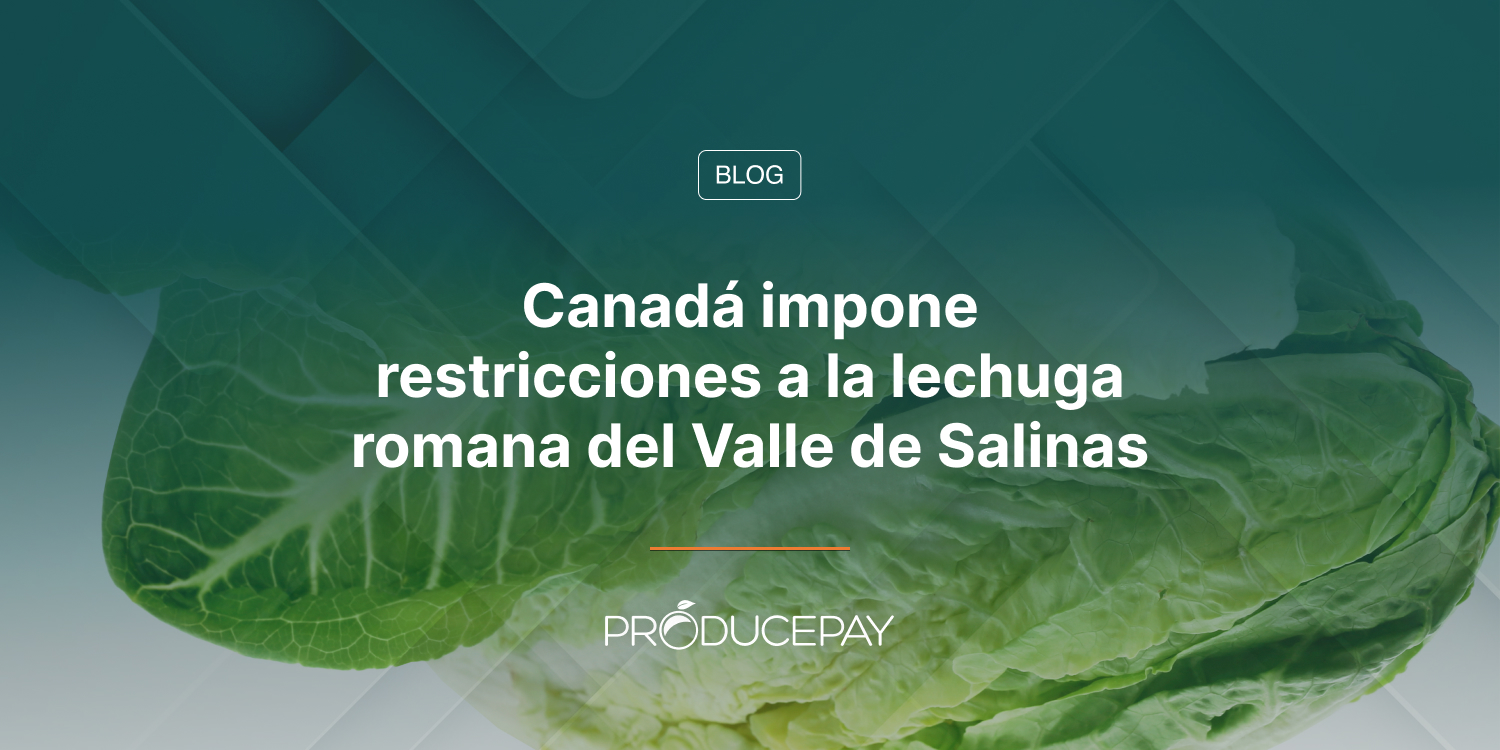 Canadá impone restricciones a la lechuga romana del Valle de Salinas