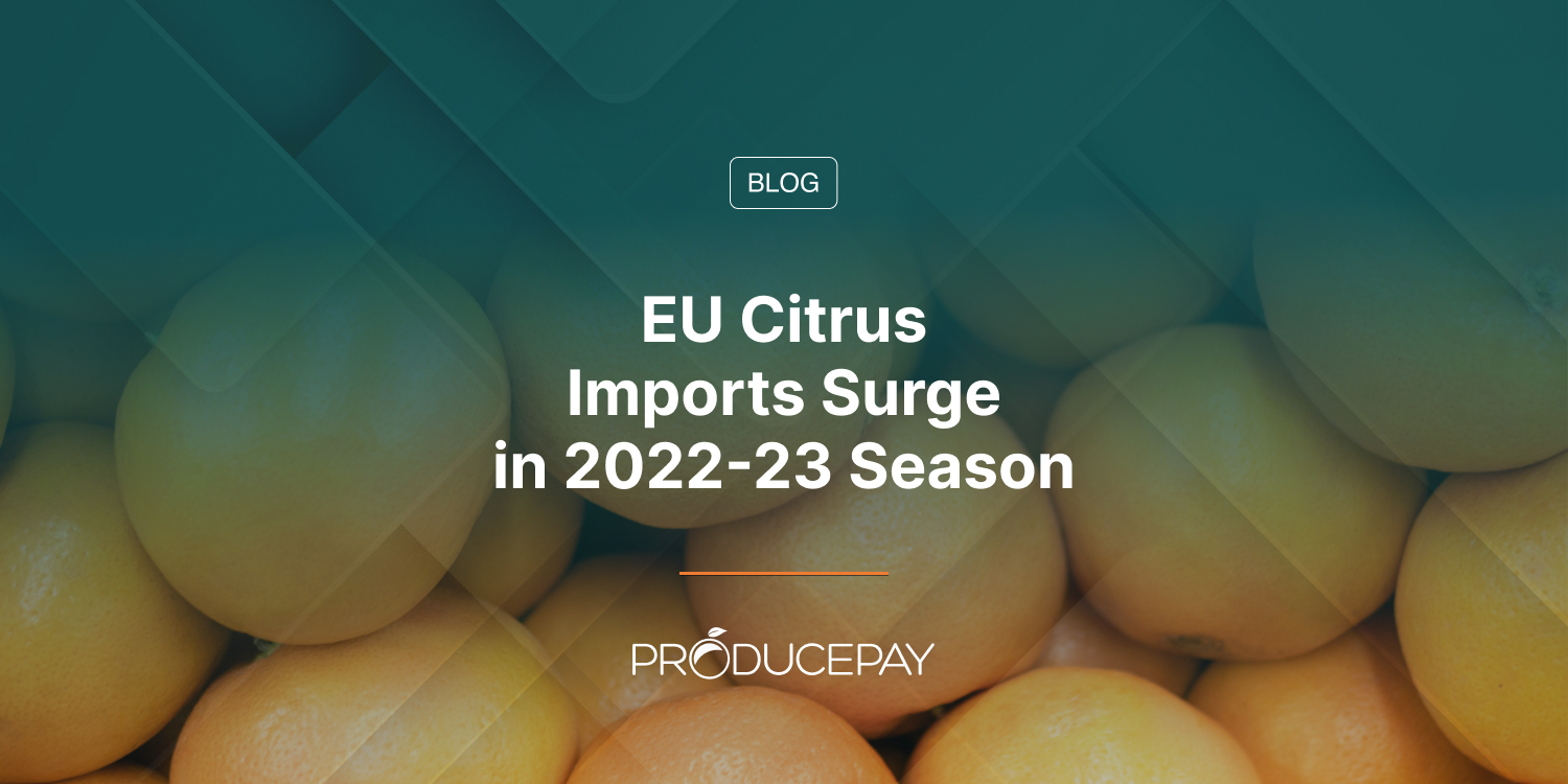 EU Citrus Imports Surge in 2022-23 Season