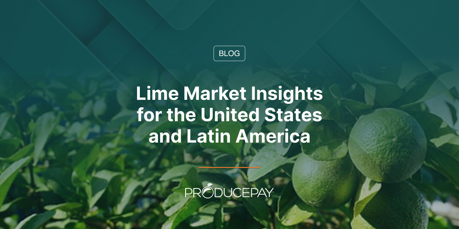 Lime Market Insights for the United States and Latin America