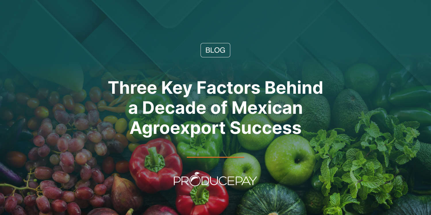 Three Key Factors Behind a Decade of Mexican Agroexport Success