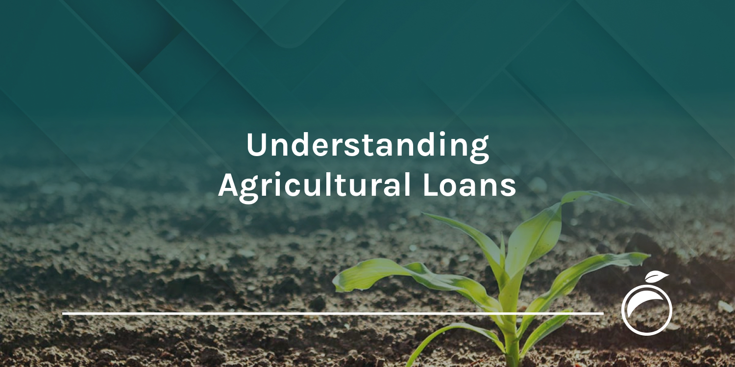 Blog_Understanding Agricultural Loans_EN_ 1500×750